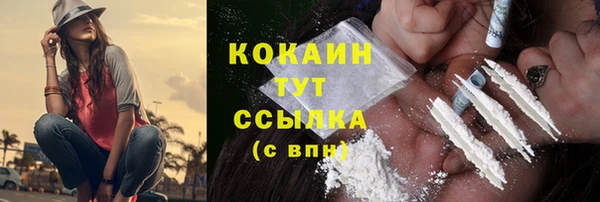 гашик Алексин