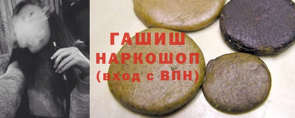 гашик Алексин