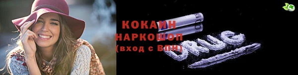 гашик Алексин