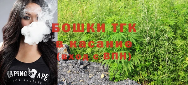 гашик Алексин
