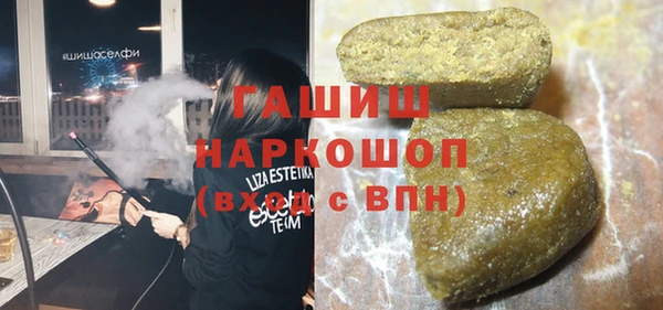 гашик Алексин