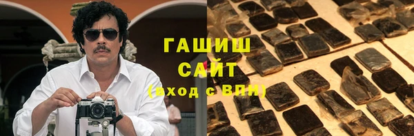 гашик Алексин